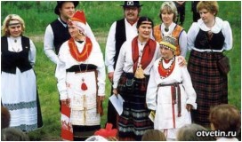 Слои опада и почвы лиственных лесов